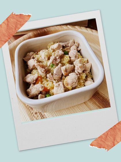 Another look at our fresh chicken and rice meal. You can see the wholesome chunks of chicken and veggies that make it so nutritious.