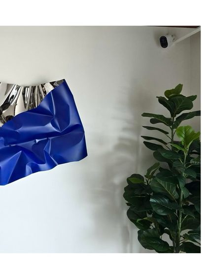A custom silver and blue Meteor installation in a client's home, where its abstract form contrasts beautifully with the organic shape of the nearby plant.