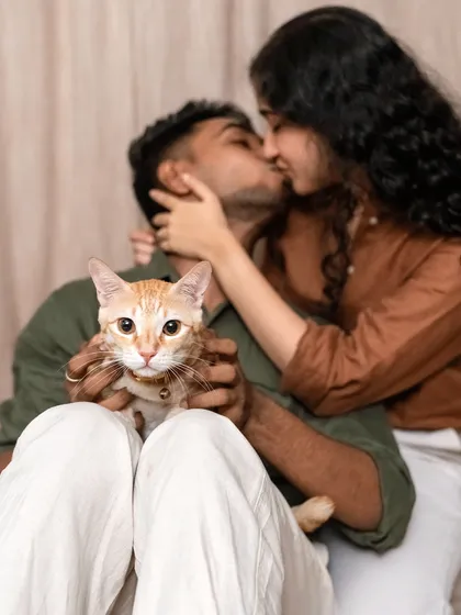 My humans are getting married, and I'm the star of the show! This is Toffee, an orange cat with a ton of personality, making sure he's the center of attention during his parents' engagement shoot. Yes, I absolutely love capturing feline friends too!