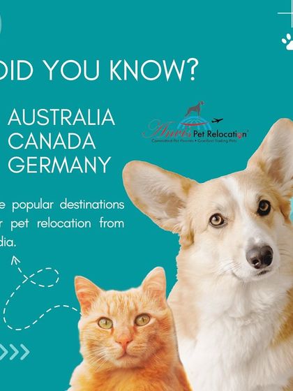 Anvis - Pet Relocation Fun & Community photo 12