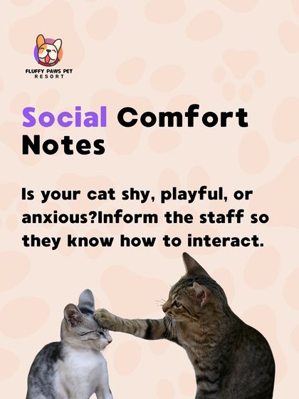 Fluffy Paws Pet Resort - Pet Boarding & Daycare Cat Parent Resources photo 3