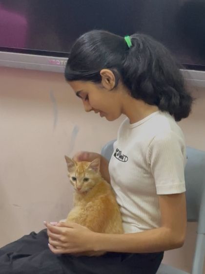 Oh My Dawg - Animal Welfare & Adoption Services Our Adoption Drives photo 38