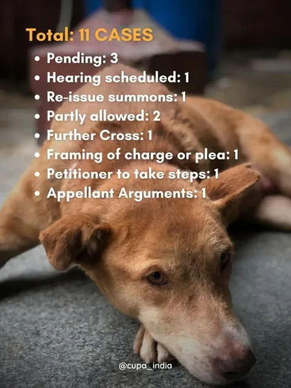 Cupa - Animal Cruelty Legal Aid & Advocacy Our Legal Fight for Animals photo 15