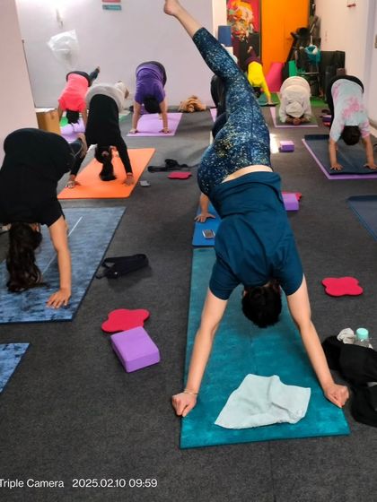 Here, students are practicing a variation of Adho Mukha Svanasana, or Downward-Facing Dog, using blocks for support. This is a great way for beginners to build strength for inversions.