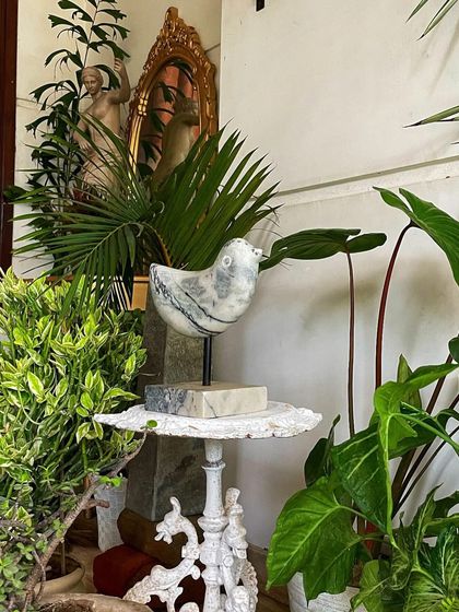 Indoor Plant Styling for Homes photo 12