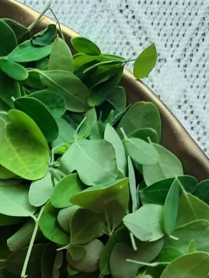 Fresh moringa leaves, packed with nutrients for skin and hair. I use both fresh and powdered moringa in my soaps and shampoo bars for its cleansing and strengthening benefits.