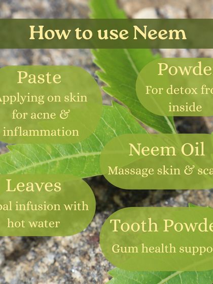 Learn about the powerful Neem tree, which grows all around the ashram. We teach you its many uses, from making a paste for skin inflammation to chewing leaves for detoxification.