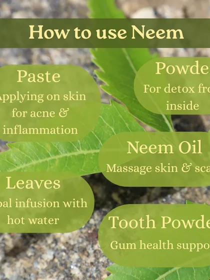 Learn about the powerful Neem tree, which grows all around the ashram. We teach you its many uses, from making a paste for skin inflammation to chewing leaves for detoxification.