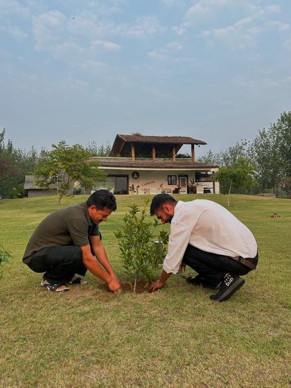 The act of planting a tree is a meditation in itself. Two members of our community carefully place a new sapling in the ground, a simple but powerful act of land restoration.