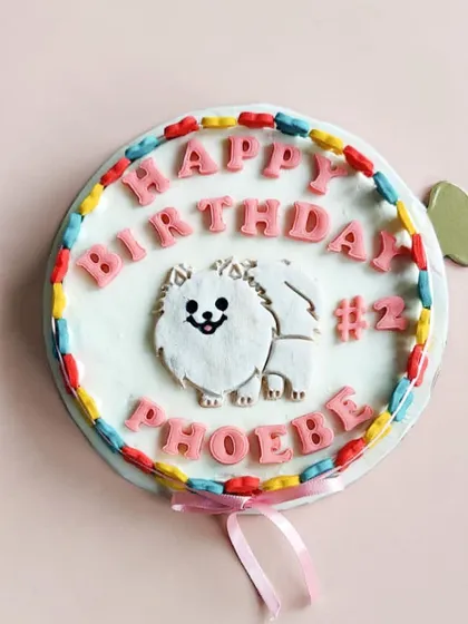 Phoebe's 2nd birthday cake is simple, sweet, and colorful, with a cute Pomeranian cookie and her name spelled out in pink.
