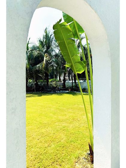 Framing the view is a powerful tool in landscape design. Here, an archway at 'Tropical Manor' perfectly frames a traveler's palm, turning a simple view into a composed, picturesque moment.