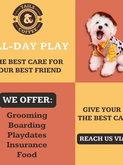 We are more than just an adoption center; we are a complete support system for your pet. This shows all the services we offer under one roof, from grooming and boarding to food and insurance, making pet parenthood easier for you.