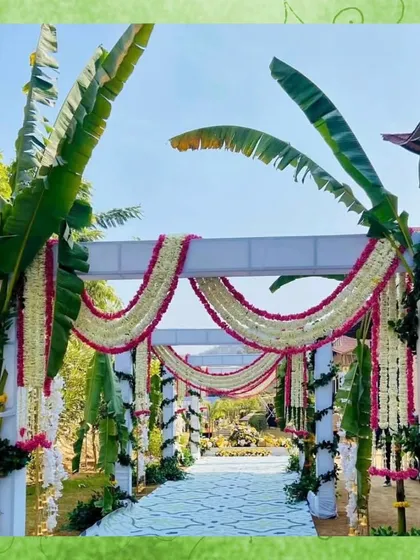 For a traditional South Indian wedding, I designed this beautiful passage using banana trees and garlands of jasmine and roses. The white structure provides a clean contrast to the lush greenery and vibrant flowers.