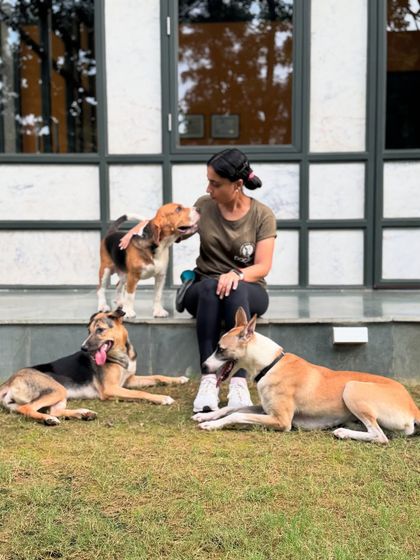 A moment of connection during a group session. My goal is to build a relationship based on trust and clear communication with every dog.