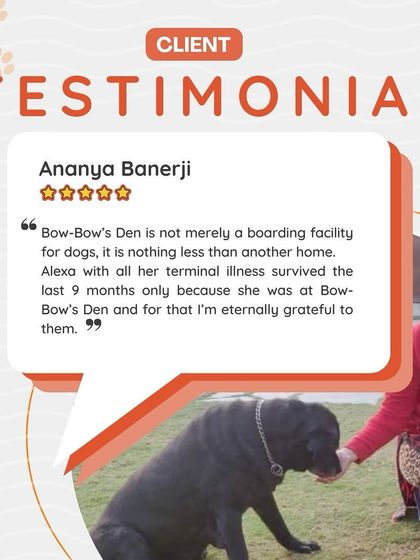 "Bow-Bow’s Den is not merely a boarding facility for dogs, it is nothing less than another home." This incredibly moving and detailed testimonial from Ananya about her dog Alexa's long-term stay touches our hearts. We are honored to have been her family.