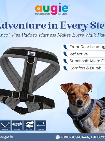 Augie Pets - Pet Supplies Adventure-Ready Gear for Every Outing photo 13
