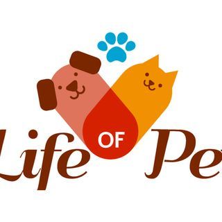 LifeOfPet
