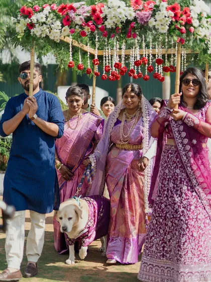 A truly special bridal entrance, complete with the family's beloved pet dressed for the occasion. We are always ready to capture these unique, heartwarming moments that make your wedding day truly yours.