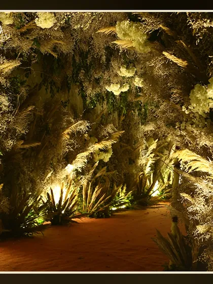 Another view of the pampas grass walkway, showing the dense, textured foliage that creates an immersive, forest-like feel.