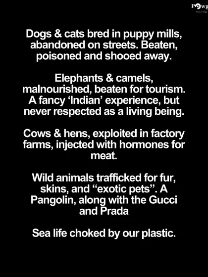 We list the many forms of animal cruelty that persist in our country, from puppy mills and factory farms to the exploitation of animals for tourism and trafficking for skins.