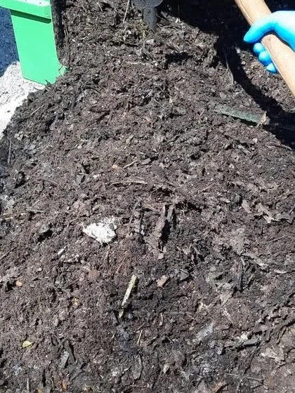 A closer look at the compost pile during our experiment at Akshayakalpa. You can see how the dairy rejects are breaking down and integrating with the other organic matter, thanks to the efficient aerobic process in the Eartha composter.