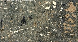 Artstore65 - Textured Wall Finishes Signature "Drizzle" Textures photo 3