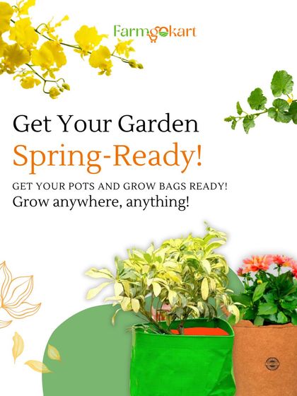 Grow Bags for Every Space photo 5