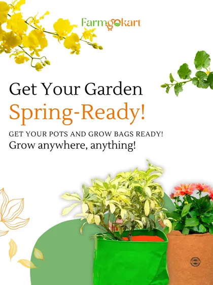 Get your garden ready for the season with my versatile pots and grow bags. This image showcases a green HDPE bag and a brown geo-fabric bag, perfect for growing a variety of flowers and plants anywhere you have a little space.