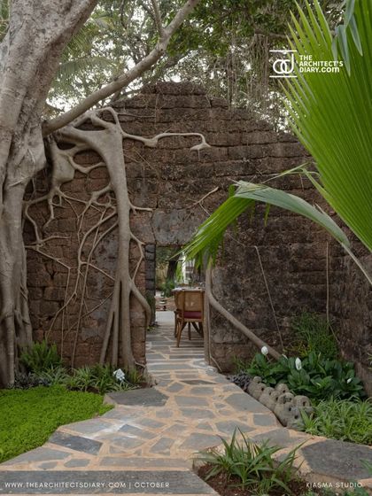 A view of the ancient, root-covered ruins at Sanctuary Bar. The landscape design intentionally preserves and highlights these historic elements, making them a central feature of the project.