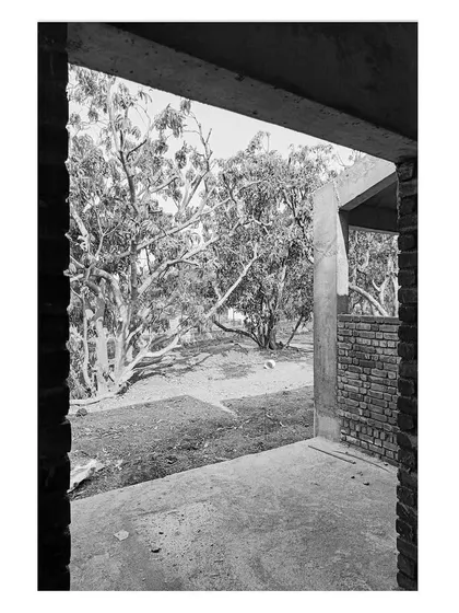A view from a building under construction, framing the mature trees on the site. Even before the landscape work begins, we identify and plan around these natural assets, making them central to the future garden design.