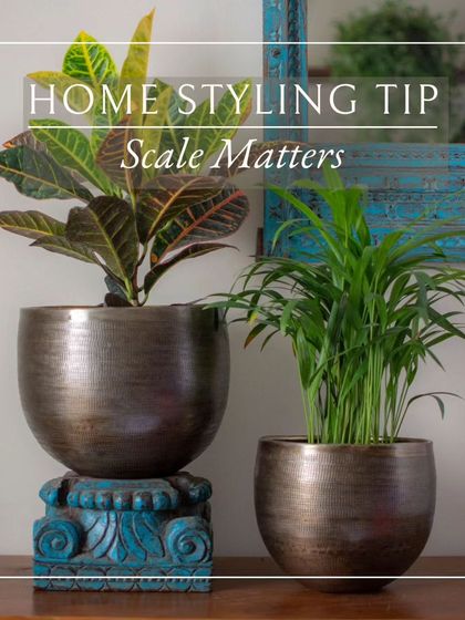 Thorny Affair - Pots & Planters Styling Your Green Sanctuary photo 6