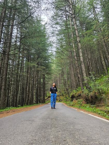 Standing on a quiet mountain road surrounded by towering pine trees. This is the path to my home, a path that always leads me back to peace and solitude.