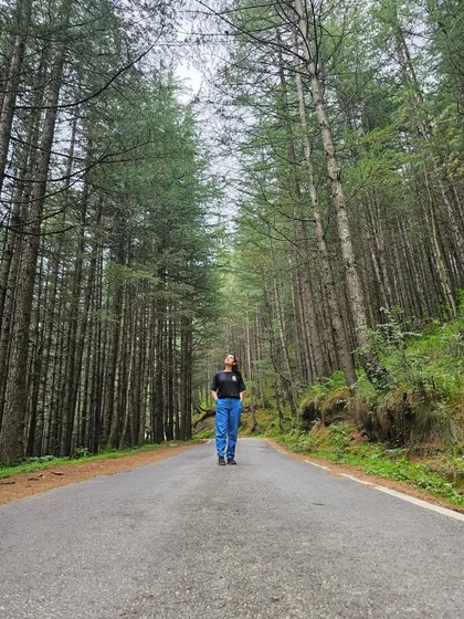Standing on a quiet mountain road surrounded by towering pine trees. This is the path to my home, a path that always leads me back to peace and solitude.