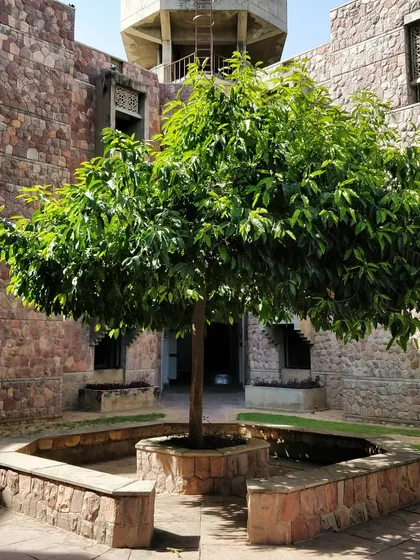 Revisiting one of my classic projects: the Indian Institute of Health Management Research (IIHMR) in Jaipur. The campus is planned around a series of linked courtyards, with a local pinkish-grey quartzite used as the primary construction material.