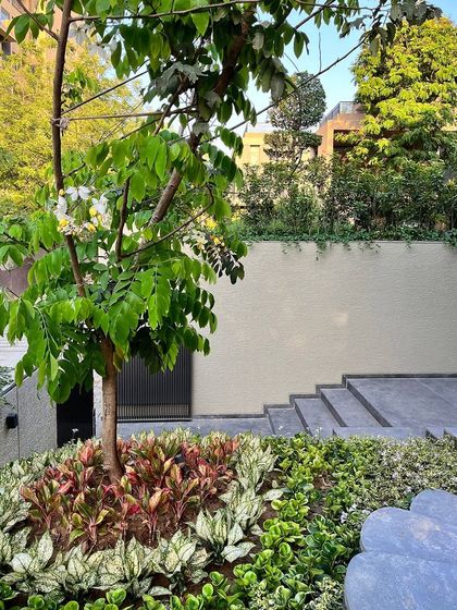 An accent tree is planted within a mound of colorful foliage, creating a focal point at the entrance. The layering of plants with different heights and forms is a key technique I use in planting design.