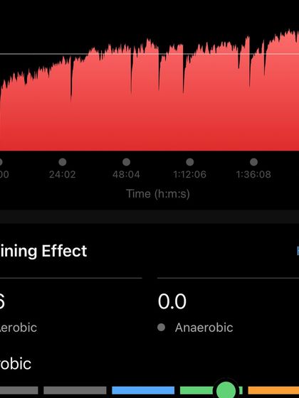 Additional Work & Training Insights photo 5