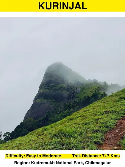 An info card for the Kurinjal trek, detailing its difficulty, distance, and location in Kudremukh National Park.