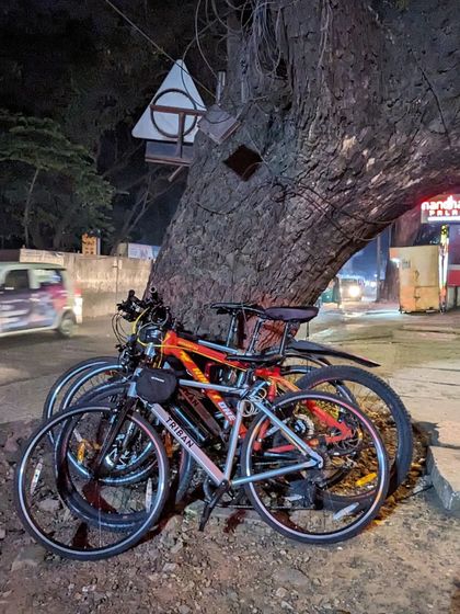 A stack of our bikes against a massive tree trunk after our ambitious ride towards Madiwala. Each stack tells the story of the journey we just completed.