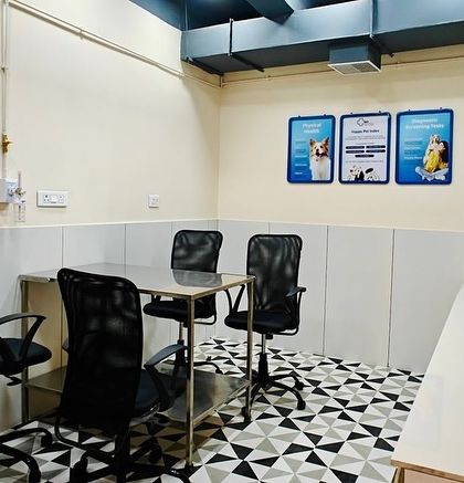 Zigly - Veterinary Services Diagnostics: The Foundation of Good Medicine photo 4