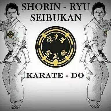 The emblem of Shorin-Ryu Seibukan Karate-Do. This symbol represents our school, our history, and the principles we uphold in our training.