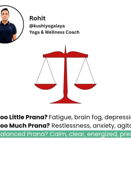 Rohit N - Yoga Teacher Training The Science of Yoga & Ayurveda photo 15