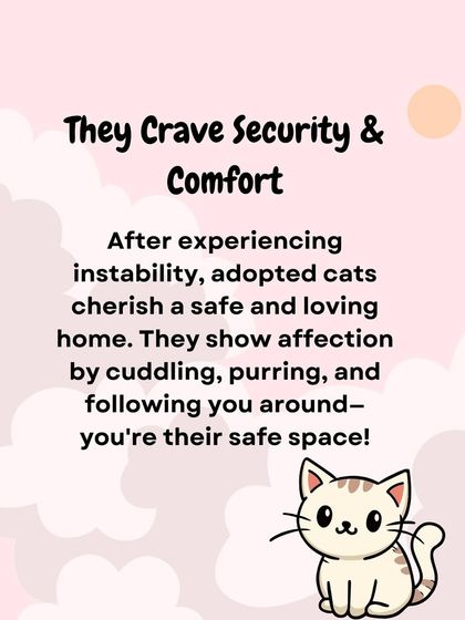 Oh My Dawg - Animal Welfare & Adoption Services Our Adoption Drives photo 41