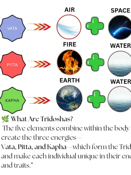 Rohit N - Yoga Teacher Training The Science of Yoga & Ayurveda photo 29