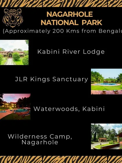 Planning a trip to Nagarhole (Kabini)? I can book you into the classic Kabini River Lodge, the comfortable JLR Kings Sanctuary, the luxurious Waterwoods, or the unique Wilderness Camp.
