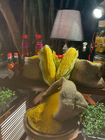 Shreenath Catering - Premium Vegetarian Event Catering A World of Vegetarian Flavours photo 7