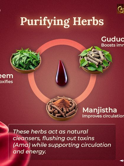 I use these purifying herbs to naturally cleanse the blood. Neem detoxifies, Manjistha improves circulation, and Guduchi boosts immunity. Together, they flush out toxins ('Ama') while supporting energy levels.