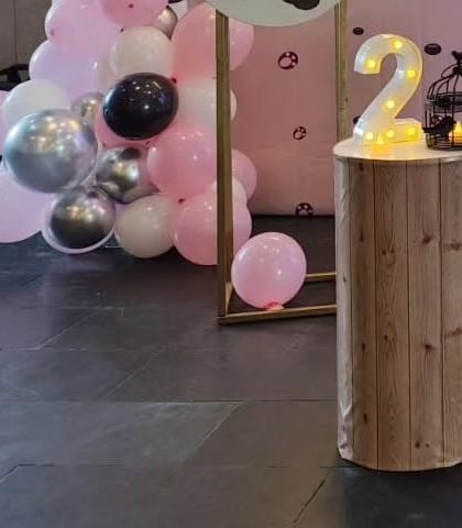 Kids' Character & Themed Parties photo 74