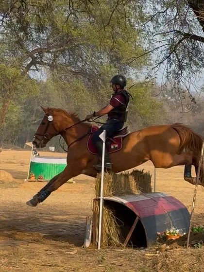 This is the thrill of cross-country. A rider and horse confidently tackle a solid obstacle, a key part of our comprehensive eventing training program that prepares athletes for FEI-level competitions.