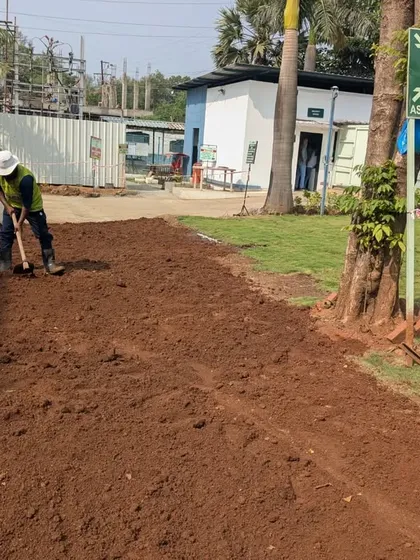 A worker prepares the ground for a new lawn patch, clearing and leveling the red soil.