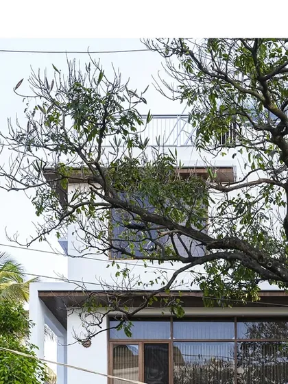 The architecture is designed to coexist with nature, as seen here where the branches of a mature tree frame the clean, modern lines of the home.